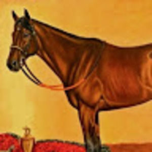 Meet your Posher, Christy